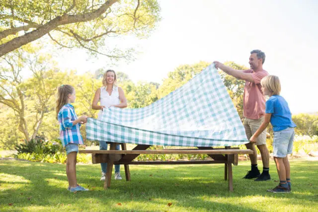 table pic nic table pic nic