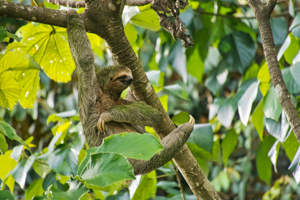 Costa Rica