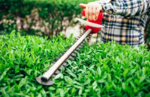 Coupe bordure thermique, à batterie ou électrique : sur quels critères choisir ? coupe bordure