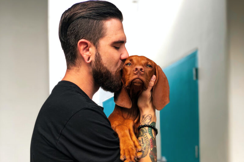 Idées de nom original et court de chien mâle quel prénom pour un chien