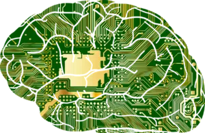 anatomy-1751201_960_720