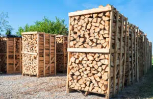 caractéristiques palettes