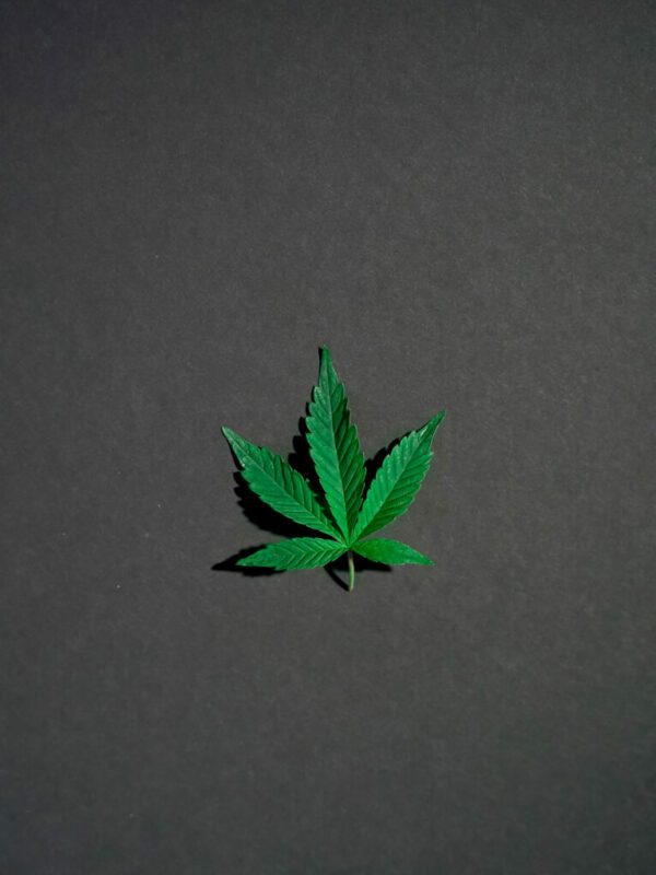 Résine de CBD