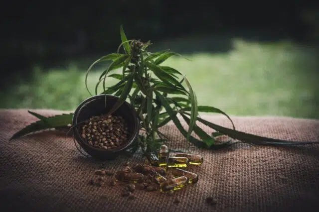 cbd-gfcf0c5484_1920