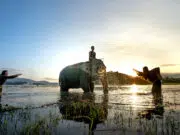 Profiter au maximum de la culture des pays traversés par le Mékong culture des pays sur le mékong