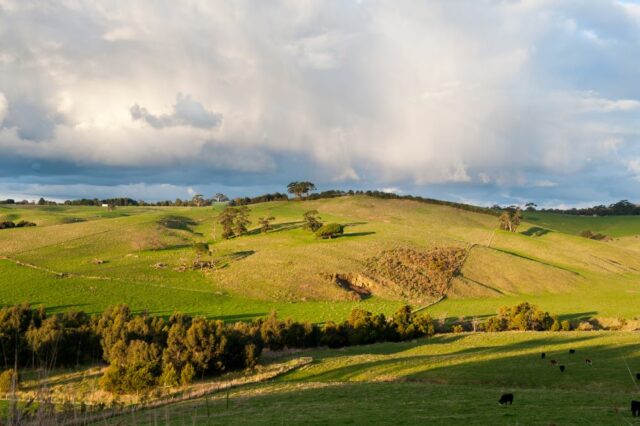 vendre terrain