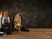 vin bio