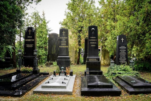 plantes cimetière