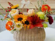 vegetale deco