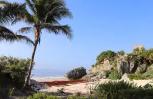 Vivre une expérience culturelle unique : les visites de villages traditionnels mexicains village mexicain