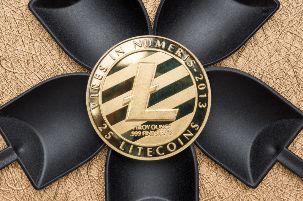 litecoin investissement