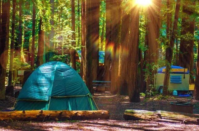 Tent Camping in Redwoods
