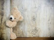 nounours en ligne