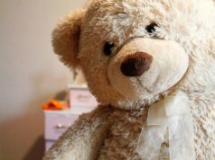 nounours qualité