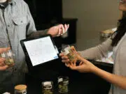 avanta CBD bio
