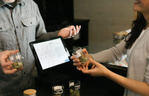 avanta CBD bio