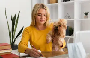 Collier anti-aboiement : pourquoi et quand l’utiliser pour le bien-être de votre chien ? anti aboiement