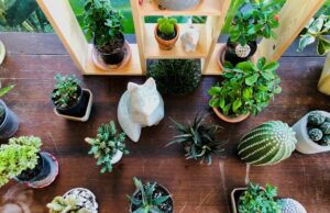 Comment intégrer des plantes artificielles dans sa décoration d’intérieur décoration intérieur