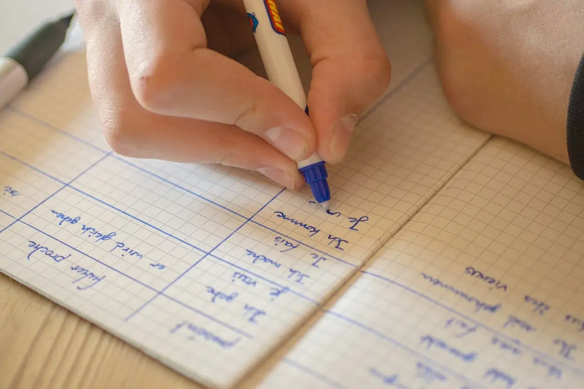 compétences linguistiques cm1