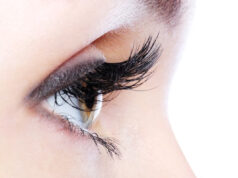 regard éblouissant