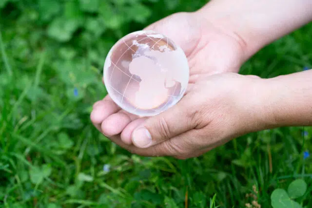 écologie écologie