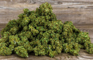 Suisse : où acheter du CBD aujourd'hui ?