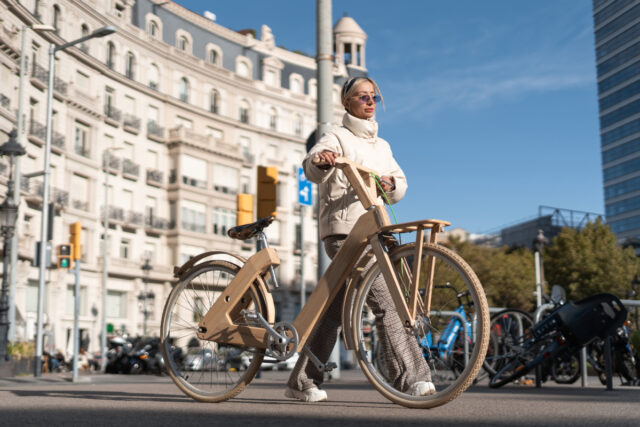 vélos électriques