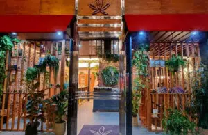 Gardenz : là où l’excellence du CBD fusionne avec des expériences mémorables Gardenz produits CBD