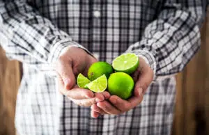 bienfaits citron