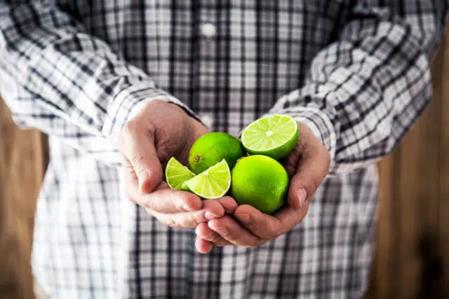 bienfaits citron bienfaits citron