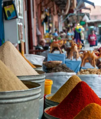Les meilleures choses à faire à Marrakech