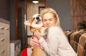 Protégez votre animal et votre portefeuille avec une responsabilité civile pour chien responsabilité civile chien