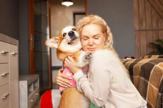 responsabilité civile chien responsabilité civile chien
