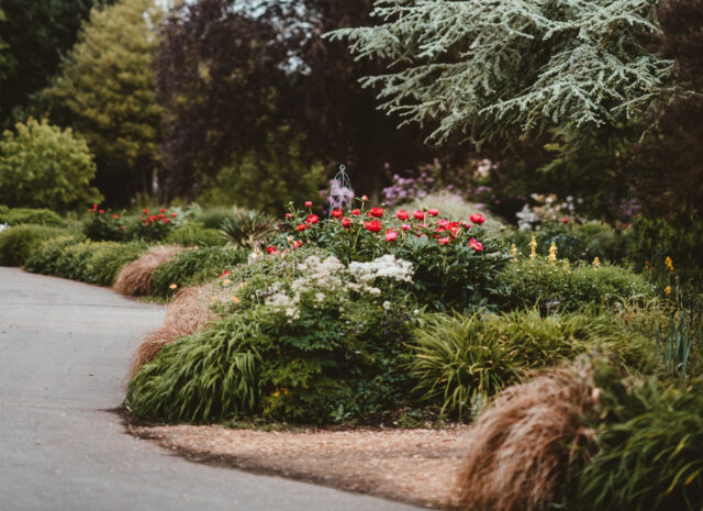 bordure jardin