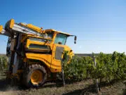 Outils de dernière technologie pour le secteur agricole : révolutionner le champ secteur agricole