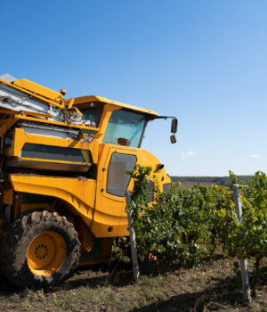 secteur agricole