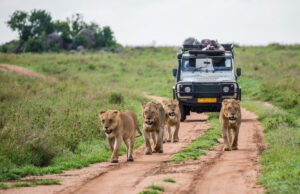 Voyage Afrique