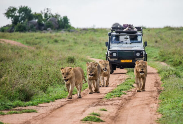 Voyage Afrique