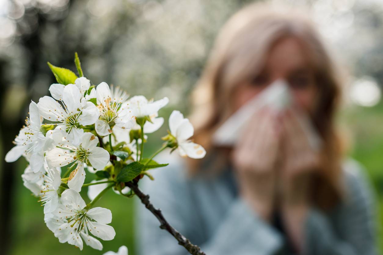 allergie au pollen