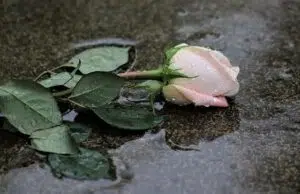 personnalisation tombale