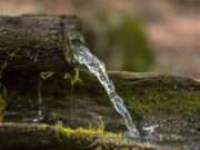 Sensibilisation environnementale