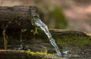 Sensibilisation environnementale
