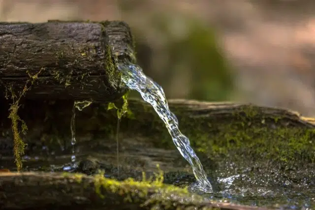 Sensibilisation environnementale Sensibilisation environnementale