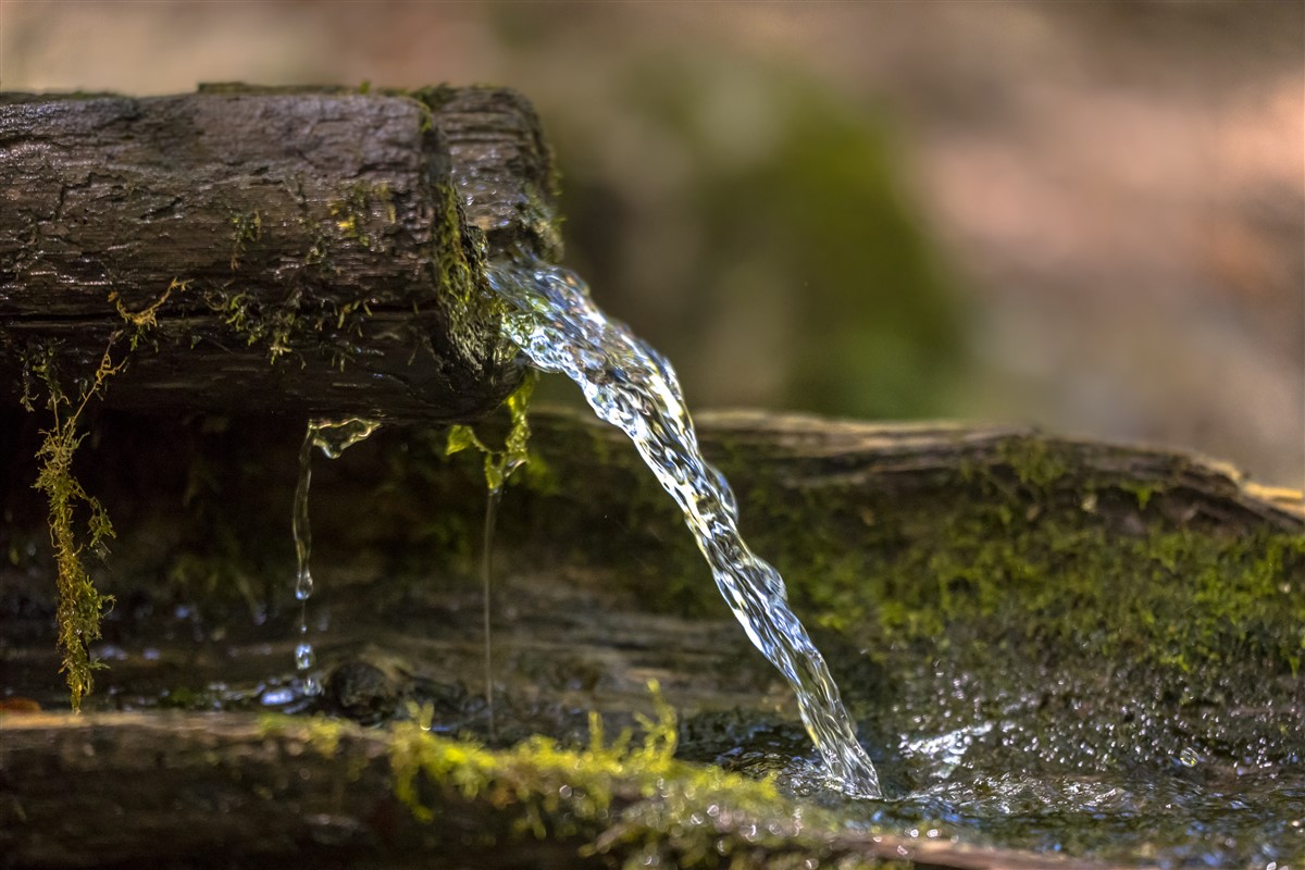 Sensibilisation environnementale