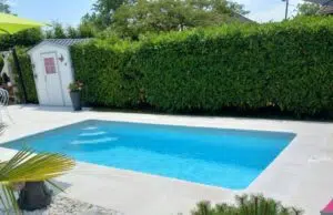 neptune piscines