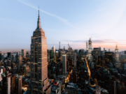 cannabis new york