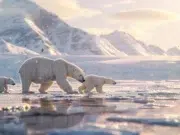espèces arctique
