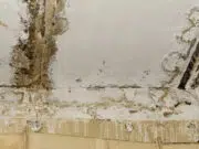 infiltration eau