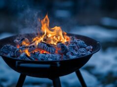 Comment choisir le bon charbon de bois pour hivernage en mobil home sans se tromper