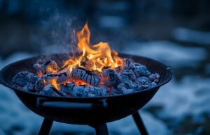 Comment choisir le bon charbon de bois pour hivernage en mobil home sans se tromper